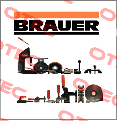 05840-1200  Brauer