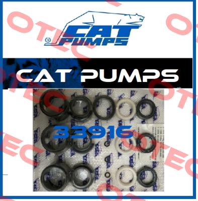 33916 Cat Pumps