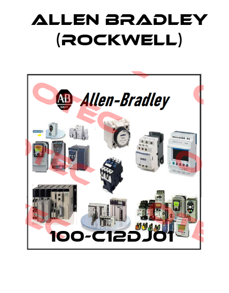 100-C12DJ01  Allen Bradley (Rockwell)