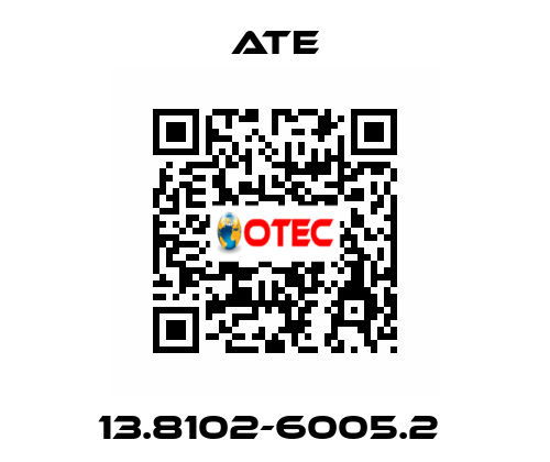 13.8102-6005.2  Ate