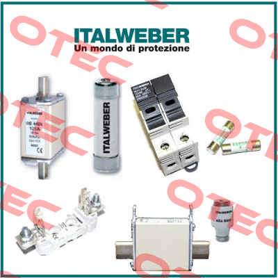 CH/P22 GG 32A 690V FUSE  Italweber