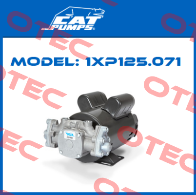 1XP125.071 Cat Pumps