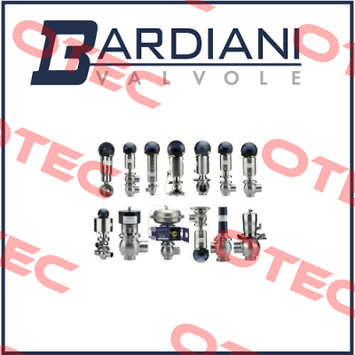 DN 50 ZVF BUTTERFLY VALVE MAINTENANCE KIT  Bardiani Valvole