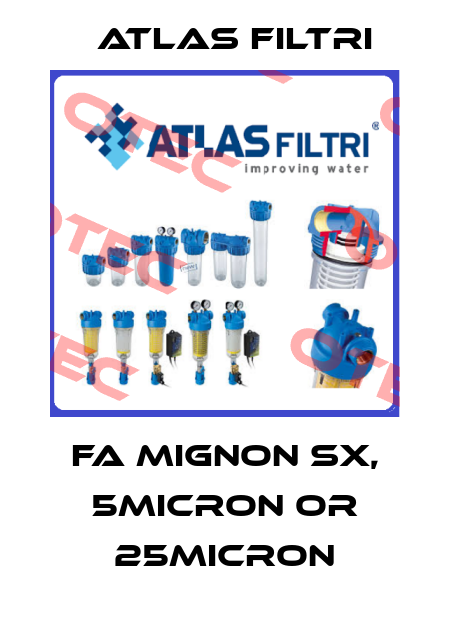 FA MIGNON SX, 5MICRON OR 25MICRON Atlas Filtri
