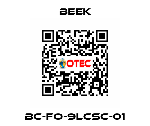 BC-FO-9LCSC-01 Beek