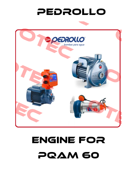 engine for PQAm 60 Pedrollo