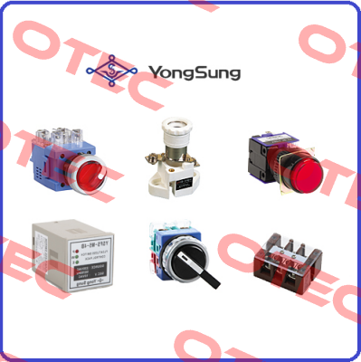 YSAP13-11GW YongSung Electric