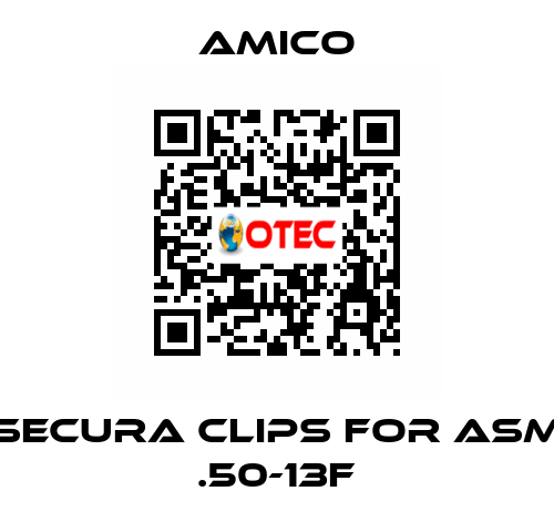 Secura Clips for ASM .50-13F AMICO
