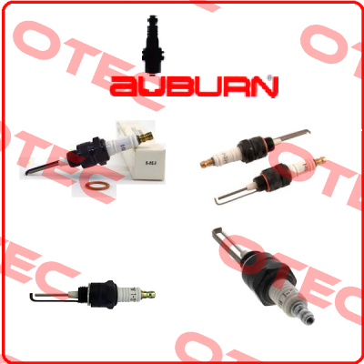CS 12982 Auburn