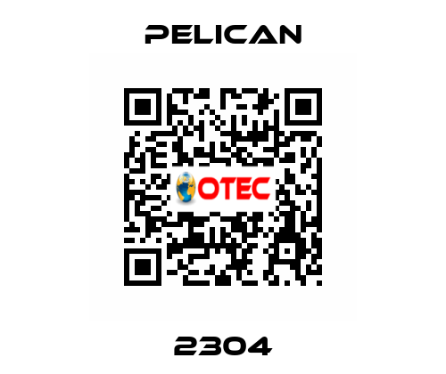 2304 Pelican