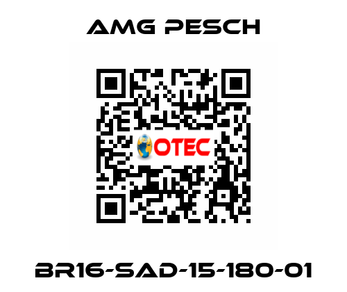 BR16-SAD-15-180-01 AMG Pesch