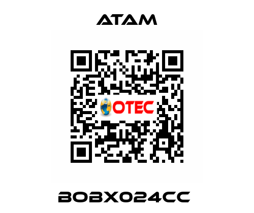 BOBX024CC  ATAM