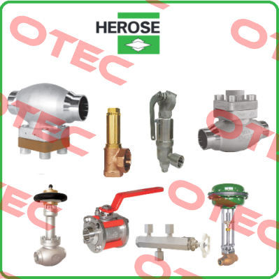 01331.X.0004 DN15 Herose