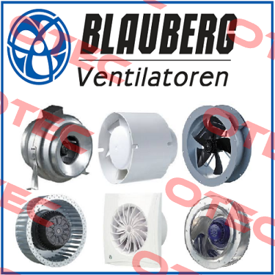 Q5004E Blauberg
