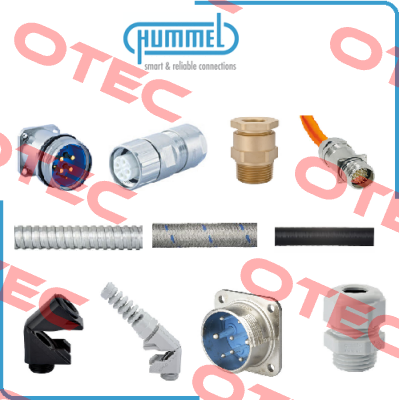 215905 Hummel
