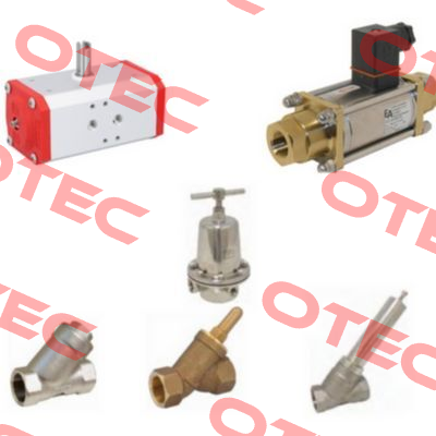 BCE-GGG-EPDM-050 End Armaturen