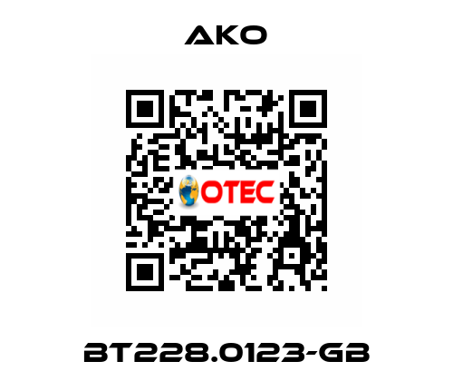 BT228.0123-GB AKO