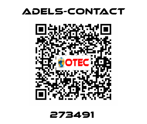 273491  Adels-Contact