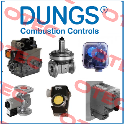 GF40050  Dungs