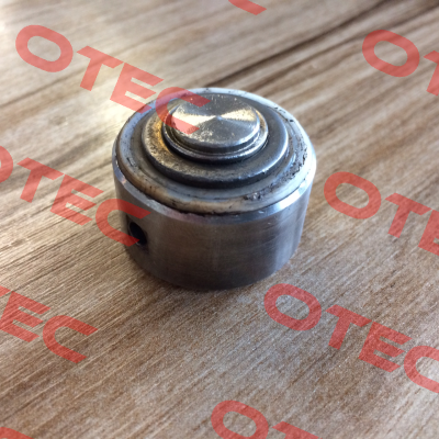 00011202  Burkert