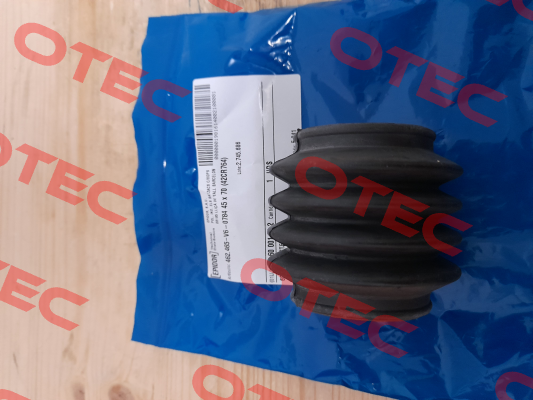 V6-00784 Epidor