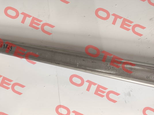 040031 Woelm GmbH