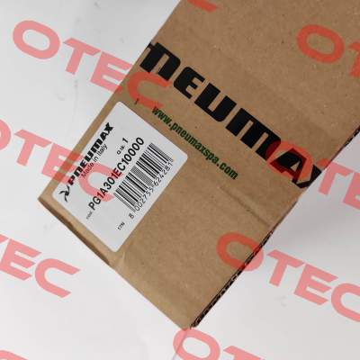 PG1A301EC10000 Pneumax