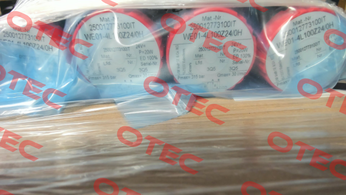 WE01-4L100Z24/0H (1367100710) Voith