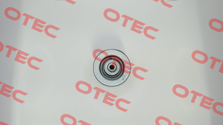 0026927 SR80 (U-50/58/50 x 2,5) Torwegge