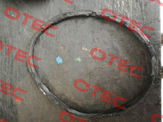 O-ring for Serial n. CF 0010373   Tecofi