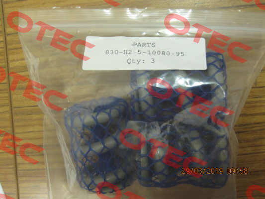 830-H2-5-10080-95 Cashco