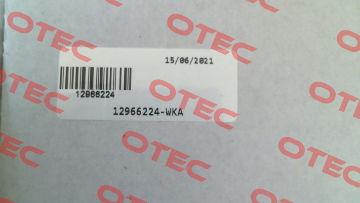 12966224 Tecsis (WIKA Group)