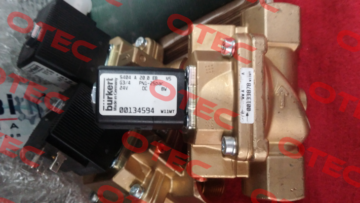 00134594  Burkert