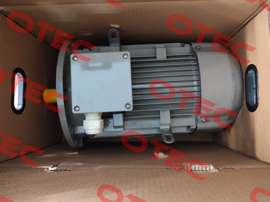 FCA 132 MC-2 B5 / PHE AC Motoren